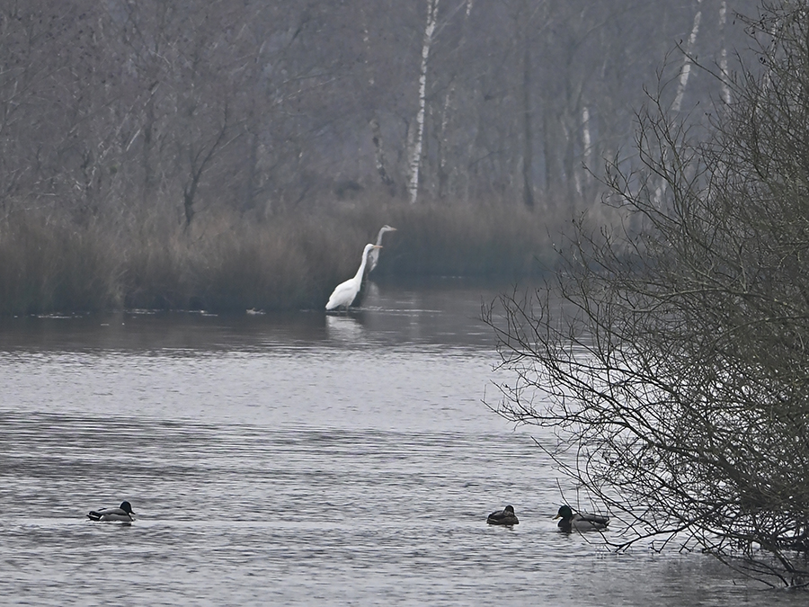 Mooi moment