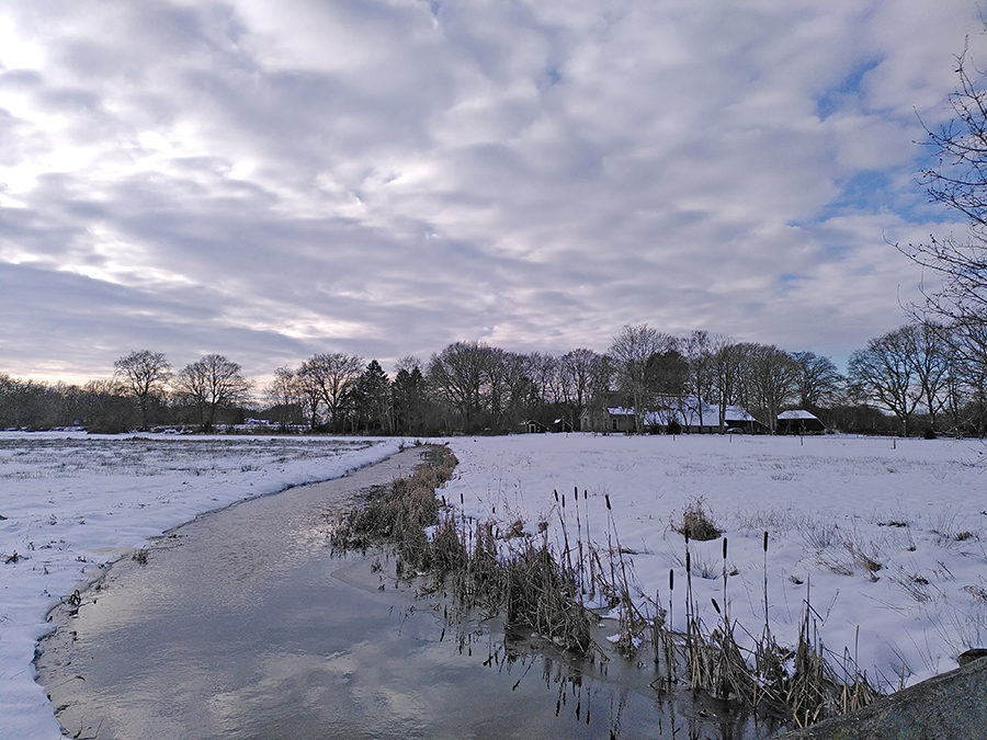 Winter aan de Reest