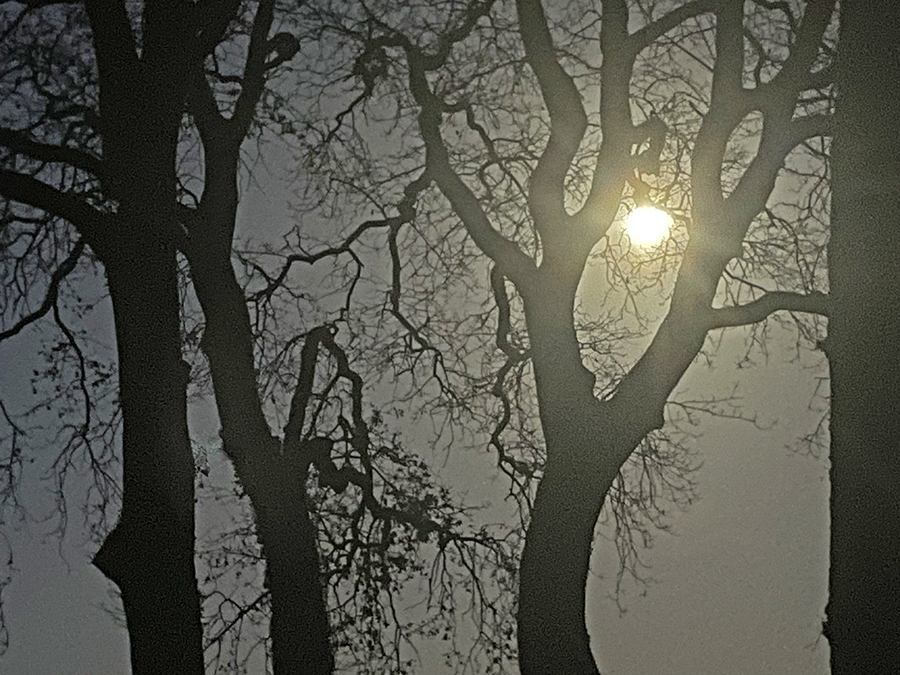 Volle maan