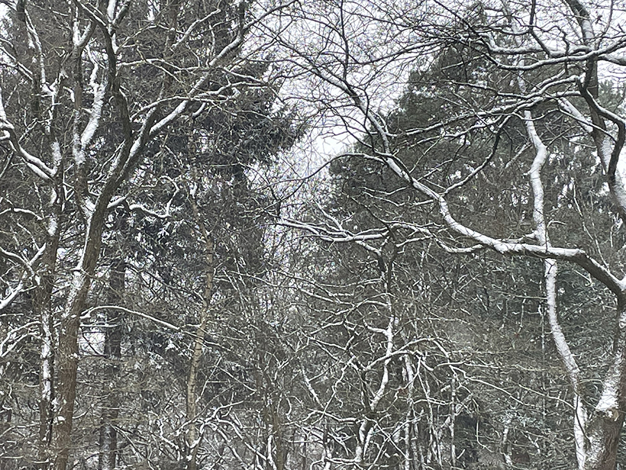 De laatste sneeuw?