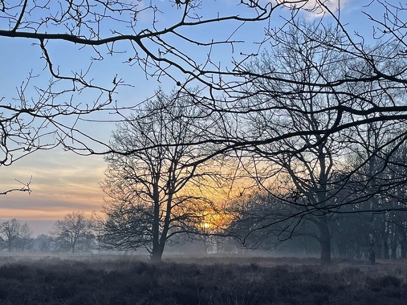 Zonsondergang