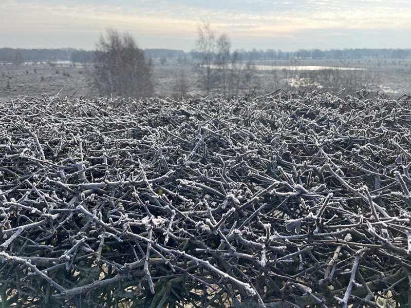 Vogelkijkpunt
