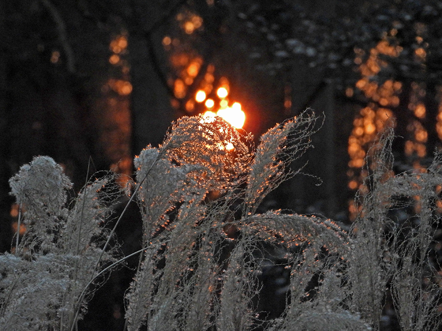 Late zon